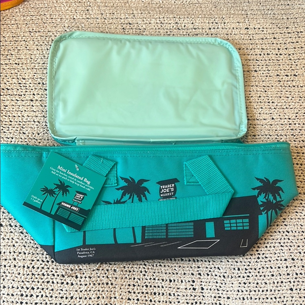 Trader Joe's Teal Insulated Bag